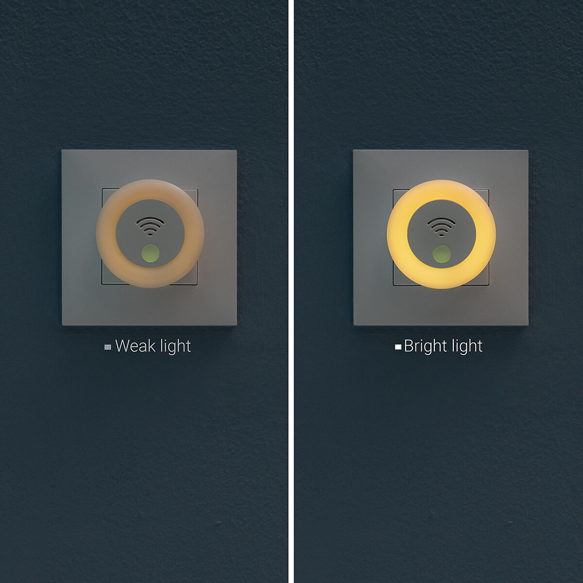 V14H29C750DC7E5C6A985DB46202275C22F4R5277702P5