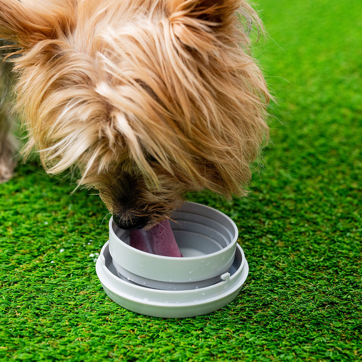 V8H428DC5DAEF0E7D718BCA4C197362E1AER5279949P7